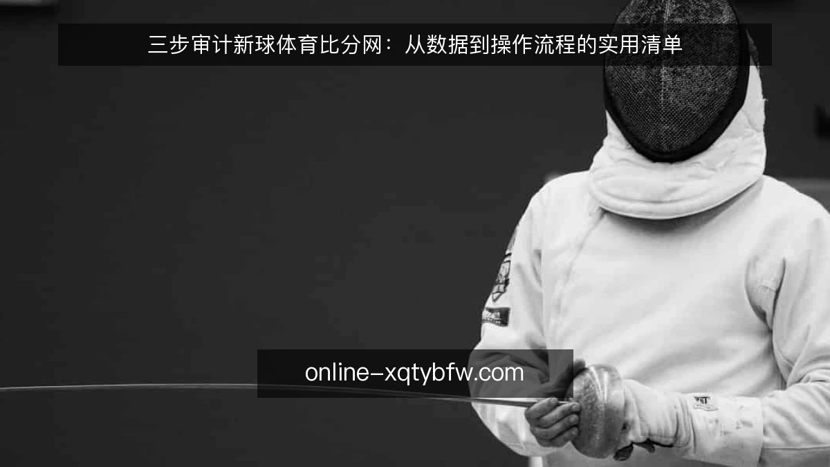 三步审计新球体育比分网:从数据到操作流程的实用清单