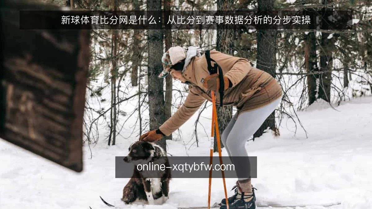 新球体育比分网是什么:从比分到赛事数据分析的分步实操
